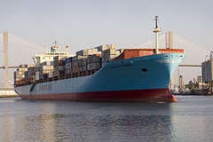 Majestic Maersk in the Savannah River